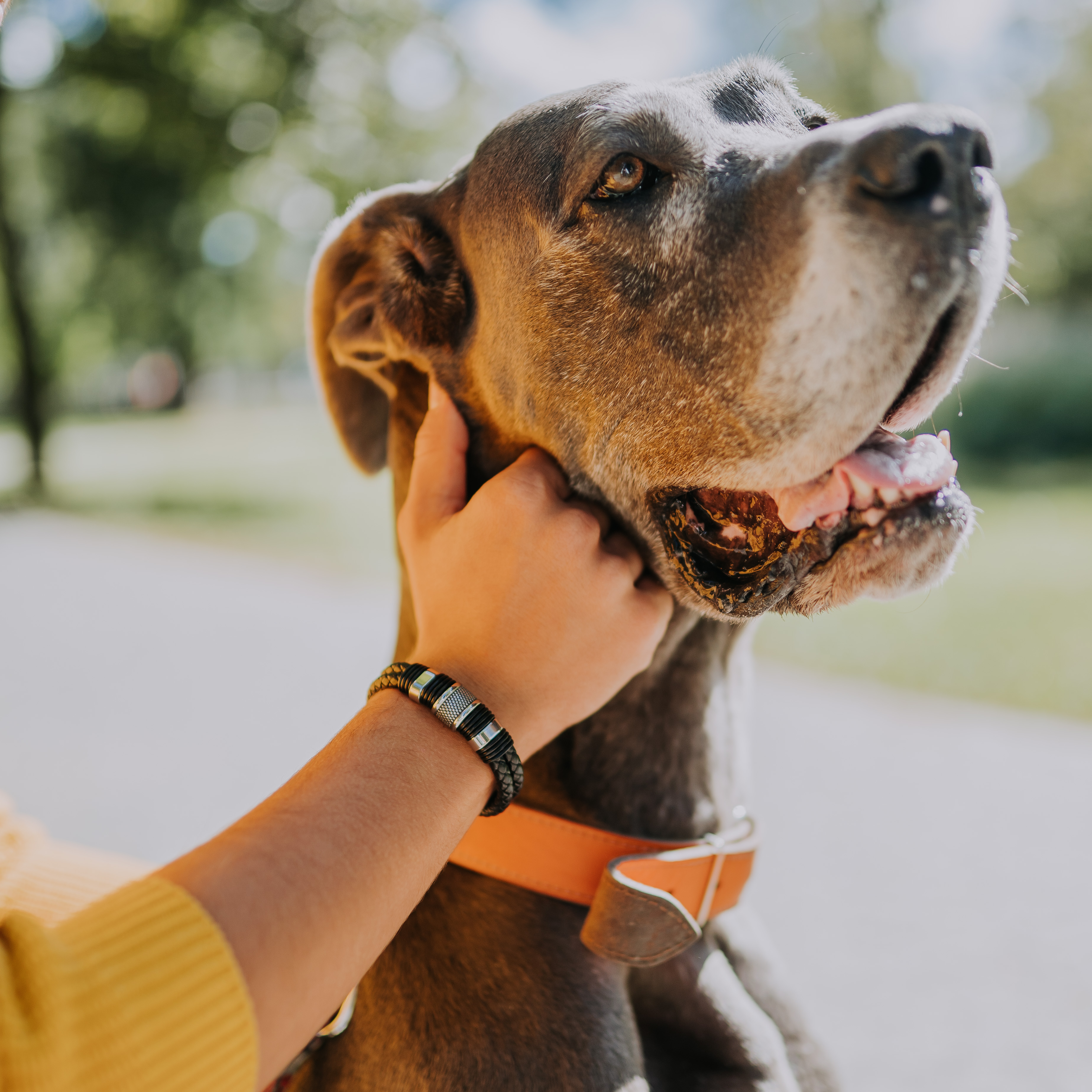 Pánsky športový kožený náramok Cool man čierny s čiernym zdobením